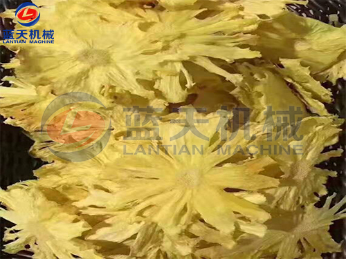 福建菠蘿烘干機扶貧項目